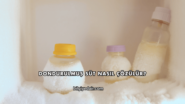 Dondurulmuş Süt Nasıl Çözülür?