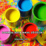 Donmuş Boya Nasıl Çözülür?