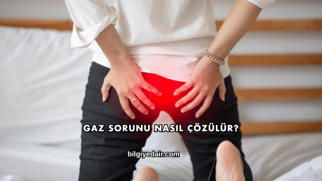 Gaz Sorunu Nasıl Çözülür?