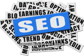 Google Bilgi Paneli Nedir?