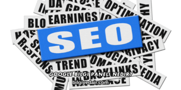 Google Bilgi Paneli Nedir?