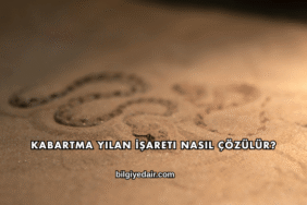 Kabartma Yılan İşareti Nasıl Çözülür?