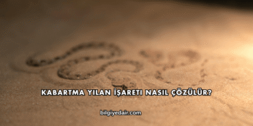 Kabartma Yılan İşareti Nasıl Çözülür?