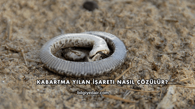 Kabartma Yılan İşareti Nasıl Çözülür?