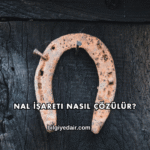 Nal İşareti Nasıl Çözülür?
