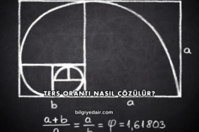 Ters Orantı Nasıl Çözülür?