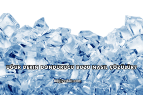 Uğur Derin Dondurucu Buzu Nasıl Çözülür?