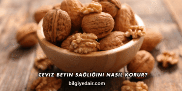 Ceviz Beyin Sağlığını Nasıl Korur?