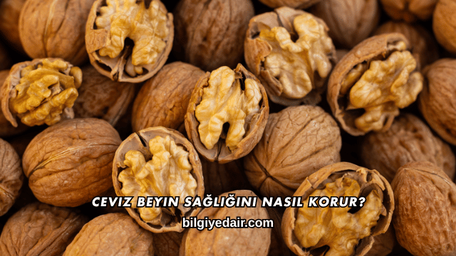 Ceviz Beyin Sağlığını Nasıl Korur?