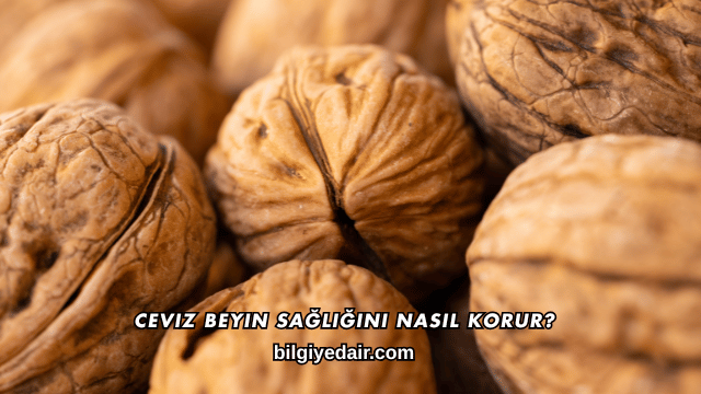 Ceviz Beyin Sağlığını Nasıl Korur?