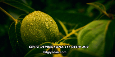 Ceviz Depresyona İyi Gelir mi?