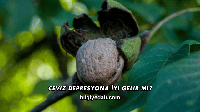 Ceviz Depresyona İyi Gelir mi?