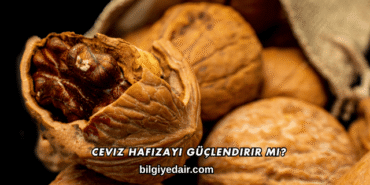 Ceviz Hafızayı Güçlendirir mi?