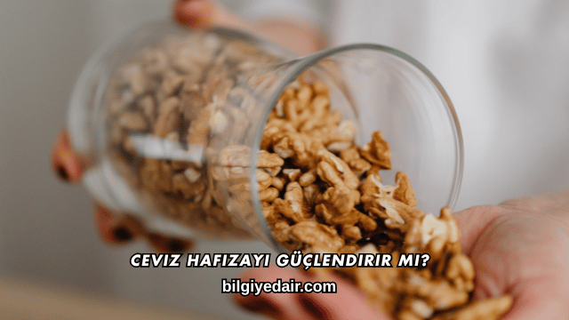 Ceviz Hafızayı Güçlendirir mi?