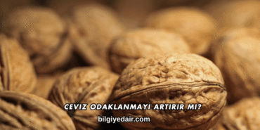 Ceviz Odaklanmayı Artırır mı?