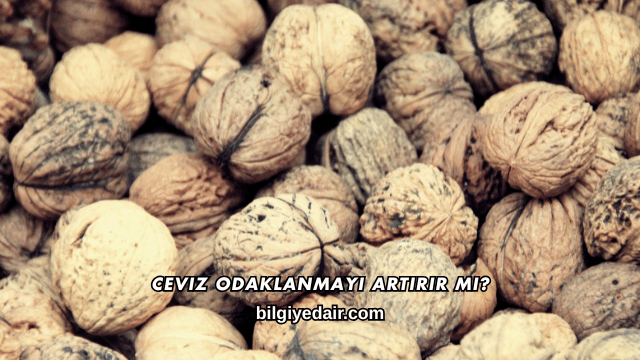 Ceviz Odaklanmayı Artırır mı?