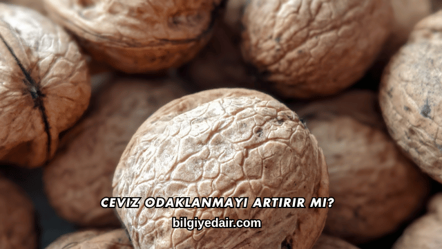 Ceviz Odaklanmayı Artırır mı?