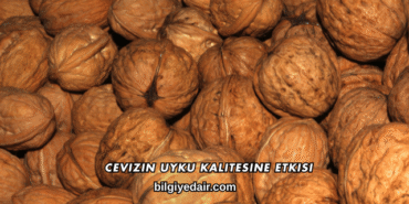 Cevizin Uyku Kalitesine Etkisi