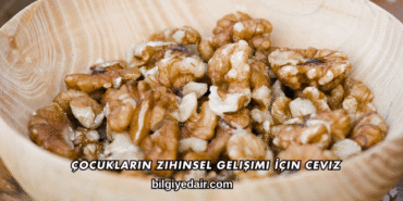 Çocukların Zihinsel Gelişimi İçin Ceviz