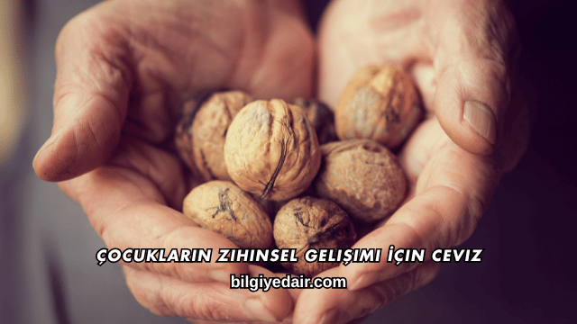 Çocukların Zihinsel Gelişimi İçin Ceviz