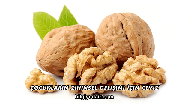 Çocukların Zihinsel Gelişimi İçin Ceviz