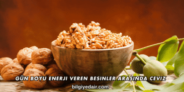 Gün Boyu Enerji Veren Besinler Arasında Ceviz