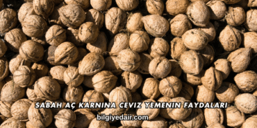 Sabah Aç Karnına Ceviz Yemenin Faydaları