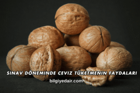 Sınav Döneminde Ceviz Tüketmenin Faydaları