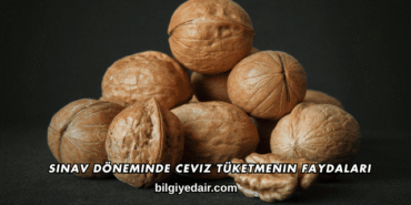 Sınav Döneminde Ceviz Tüketmenin Faydaları