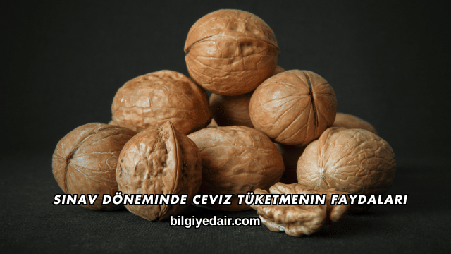 Sınav Döneminde Ceviz Tüketmenin Faydaları