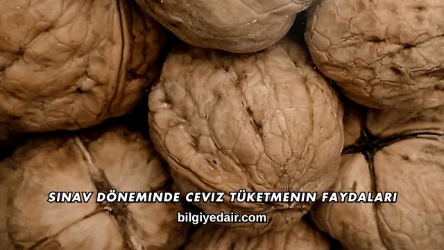 Sınav Döneminde Ceviz Tüketmenin Faydaları
