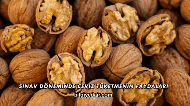 Sınav Döneminde Ceviz Tüketmenin Faydaları