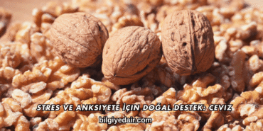 Stres ve Anksiyete İçin Doğal Destek: Ceviz